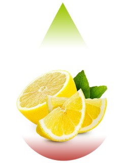 Lemon Juicy-FJ