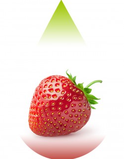 Strawberry Sweet-FJ
