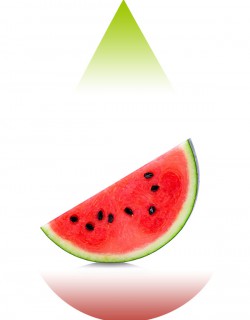Watermelon-FJ