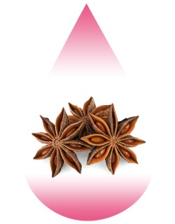 Anise Star-MB