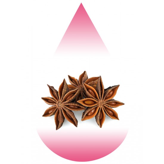 Anise Star-MB