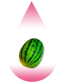Big Watermelon-MB