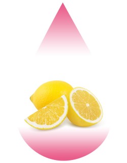 Easy Lemon-MB