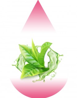 Natural Green Tea-MB