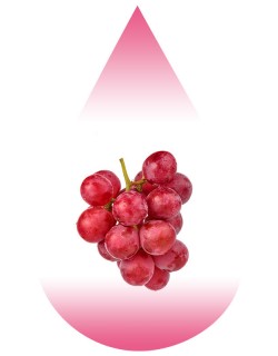 Red Dragon Grape-MB