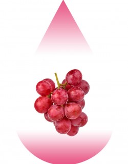 Red Dragon Grape-MB