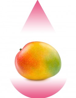 Tropical Mango-MB