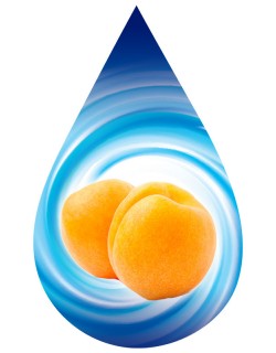 Apricot-SSA