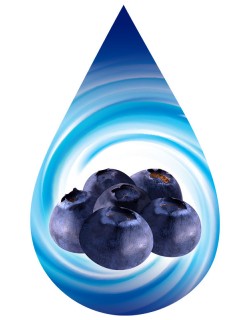 Blueberry-SSA