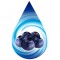 Blueberry-SSA