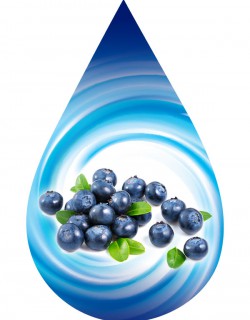 Blueberry Fresh Type-SSA