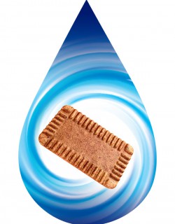 Caramel Biscuit-SSA