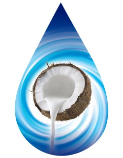 Coconut Cream-SSA