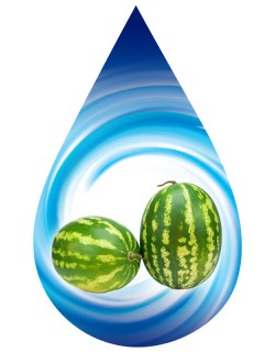 Double Watermelon-SSA