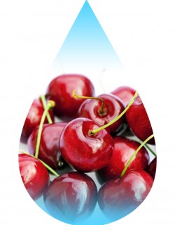 Juicy Cherries-SSA