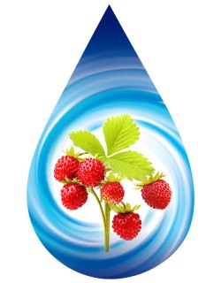Natural Wild Strawberry-SSA