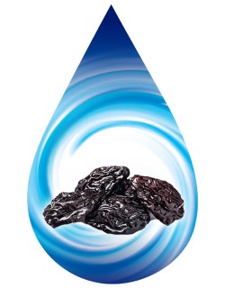 Prunes Dry Plum-SSA