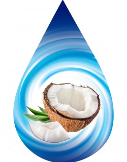 Ripe Coconut-SSA
