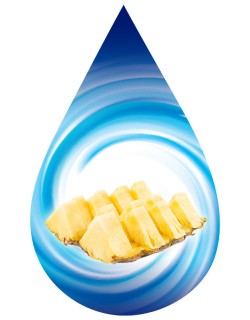 Ripe Pineapple-SSA