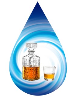 Rum with Honey-SSA