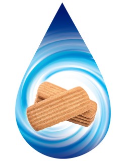 Shortbread Biscuit-SSA