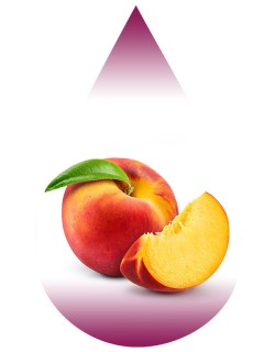 Peach-Colorless-LA