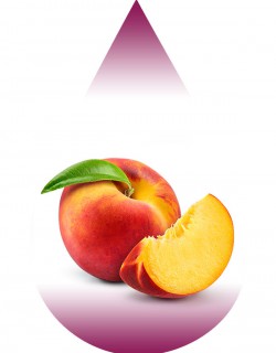 Peach-Colorless-LA