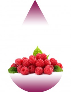 Raspberry-Colourless-LA