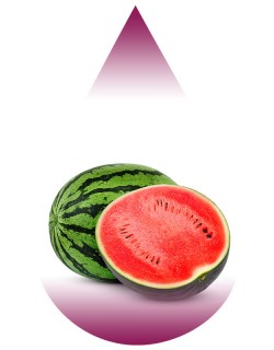 Watermelon-Colorless-LA