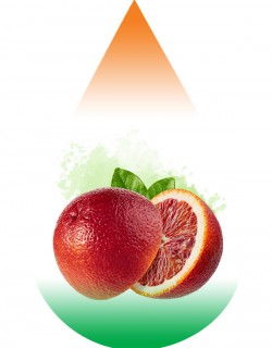 Blood Orange SC-RF