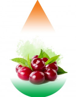 Cherry SC-RF