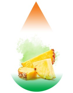 Pineapple SC-RF