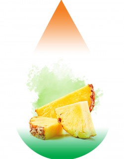Pineapple SC-RF