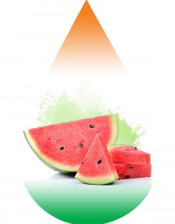 Watermelon SC-RF