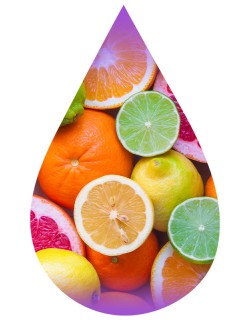 Citrus Drink (Five Fruits)-WF