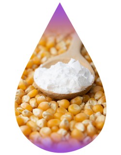 Corn Powder-WF