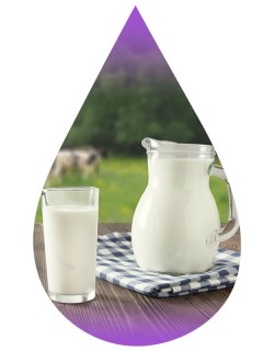 Milk-WF