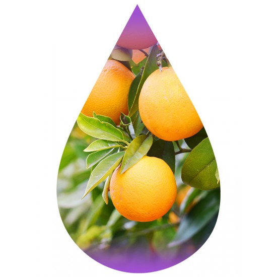 Orange (Citrus Tangy)-WF