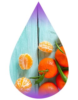 Tangerine-WF