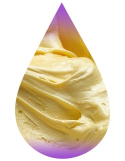 Vanilla Gelato (Italian)-WF