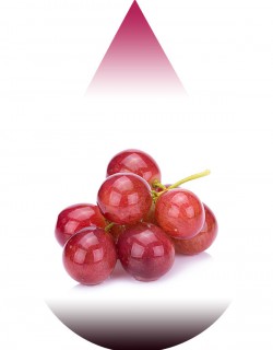 Grape-BFF
