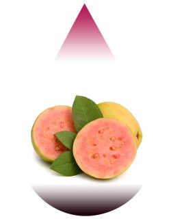 Guava-BFF