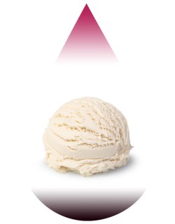 Vanilla Ice Cream-BFF