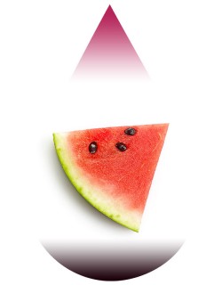 Watermelon-BFF