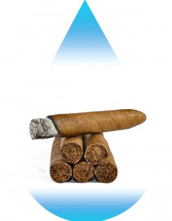 Cigar Dominican Republic-EUR
