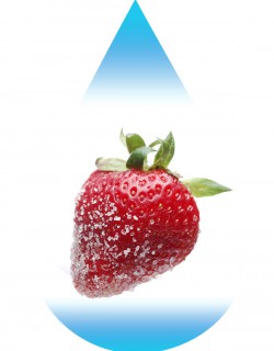 Sweet Strawberry-EUR