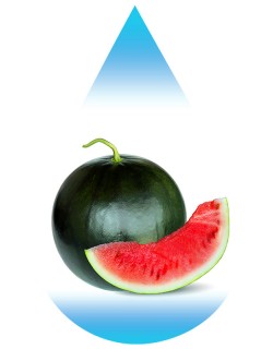 Sweet Watermelon-EUR