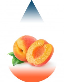 Apricot-FA