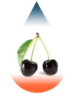 Black Cherry-FA
