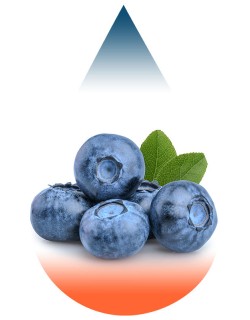 Blueberry Juicy Ripe-FA